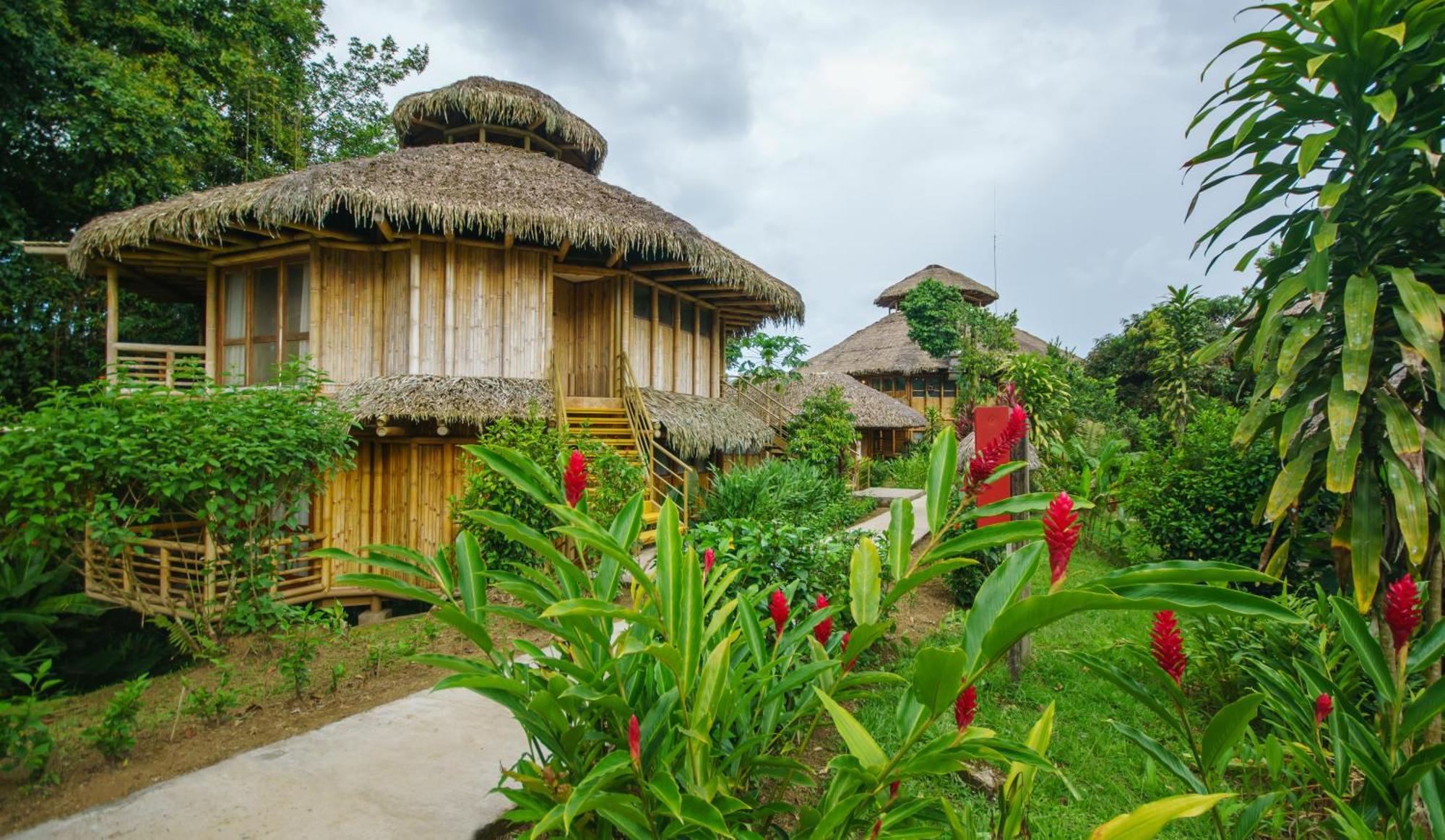 La Selva Eco-Lodge & Retreat Providencia Exteriér fotografie