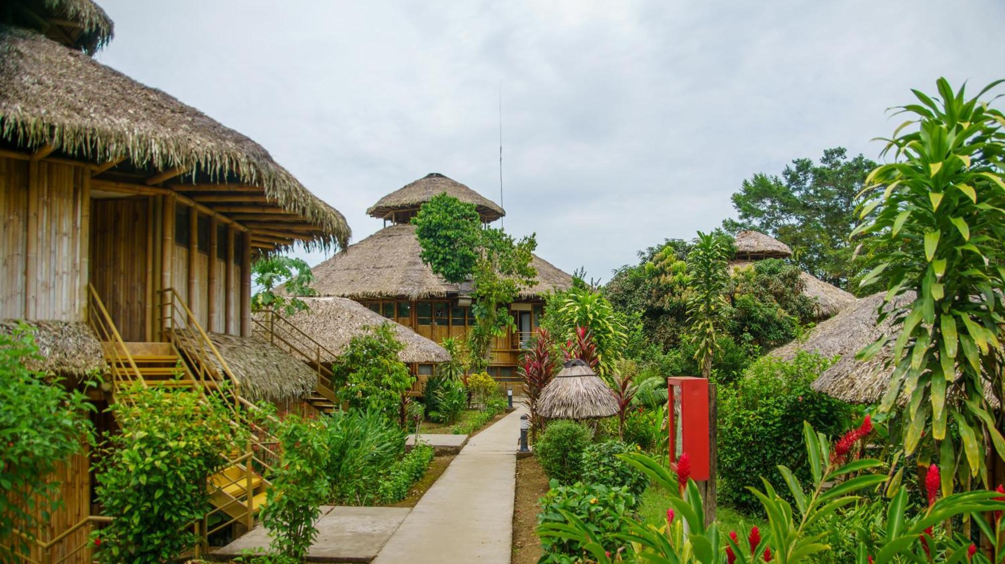 La Selva Eco-Lodge & Retreat Providencia Exteriér fotografie
