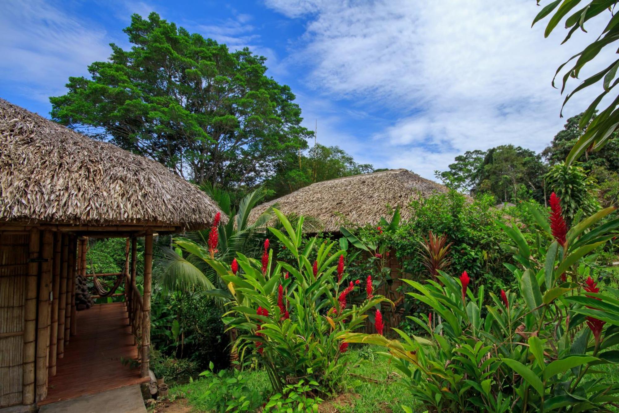 La Selva Eco-Lodge & Retreat Providencia Exteriér fotografie