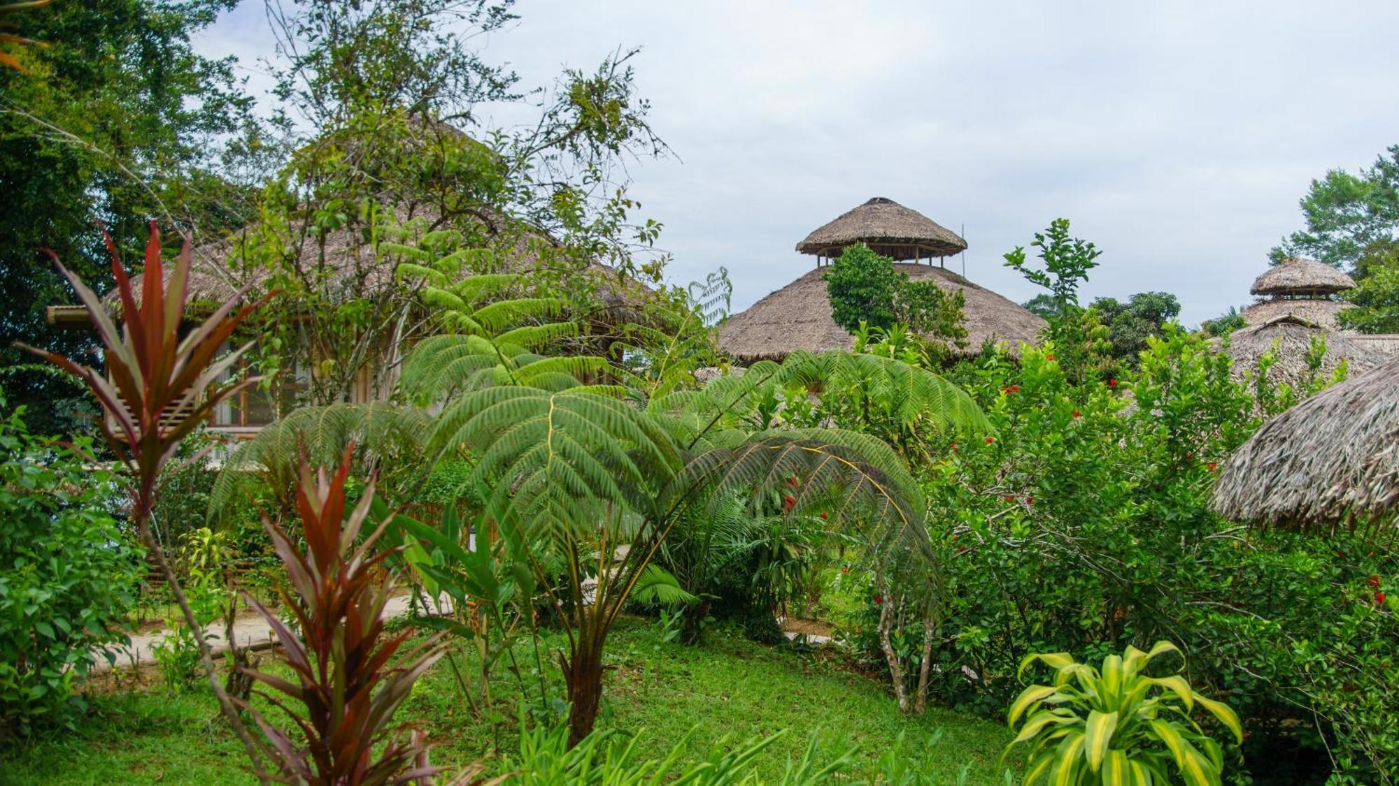 La Selva Eco-Lodge & Retreat Providencia Exteriér fotografie