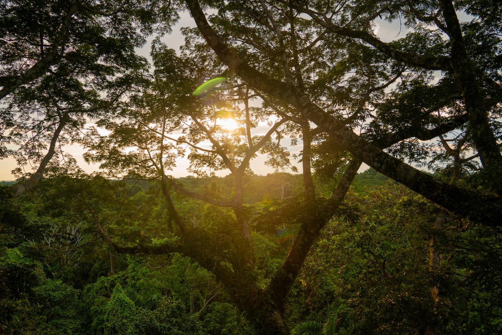 La Selva Eco-Lodge & Retreat Providencia Exteriér fotografie